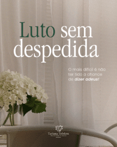 Leia mais sobre o artigo Luto Sem Despedida: O mais difícil é não ter tido a chance de dizer adeus.